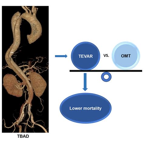 Long Term Survival And Risk Analysis Of Thoracic Endovascular Aortic