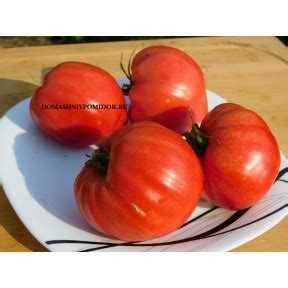 Козула. Сорта селекции Анны Янковски ( Kozula )