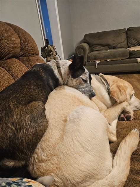 Profile and Recent Information Regarding Vicky James 6