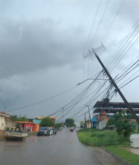 Tempestade Derruba Rvores Arranca Postes E Destelha Dezenas De Casas