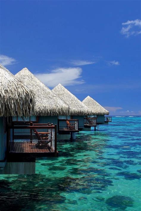 10 Dream Tropical Honeymoon Ideas | Dream vacations, Vacation places ...