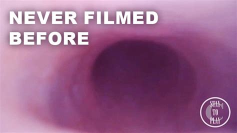 FISRT EVER POV CUMSHOT FROM INSIDE THE PROSTATE Preview Pornhub Gay