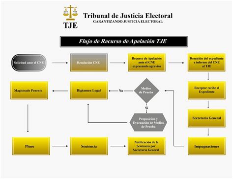 Tje Explica C Mo Interponer Un Recurso De Apelaci N Tribunal De