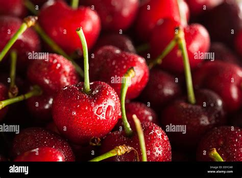 Raw Organic Red Cherries In A Basket Stock Photo Alamy