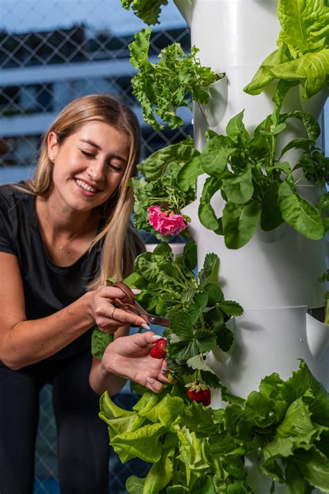 Qué puedes cultivar en un huerto vertical Growr