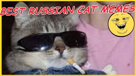 Soviet Cat Meme