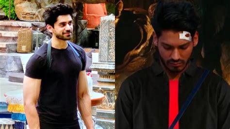 Bigg Boss 18 Elimination Avinash Mishra To Be Out Of Salman Khan Show