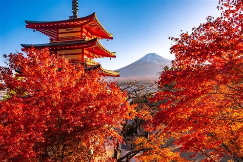 Tour in Autunno in Giappone di 10 giorni | Tramundi