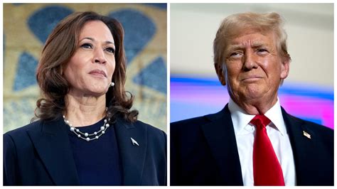 Winning Election About Contrasting Trump Harris Policies Republican Strategist Ntd