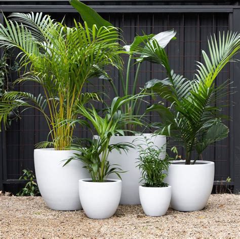 Pots for indoor plants | small pots for indoor plants decoration | Pots for houseplants | Home ...