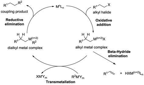 General Catalytic Cycle Of A Transition Metal Catalyzed Cross Coupling