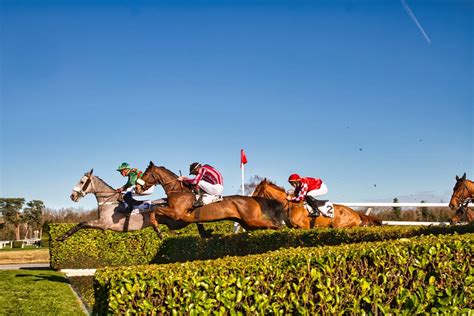 Les Courses Hippodrome De Pau