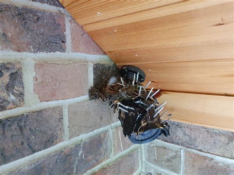 How to keep birds off my camera? - Networks, AV, Security & Automation