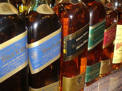 Amateur Lovers 3993 Excitedpics6522 12646 Porn Pic