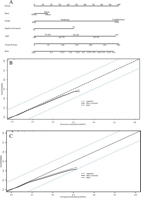 The Predictive Model Of Lymph Nodes Metastasis A Nomogram Predicted Download Scientific