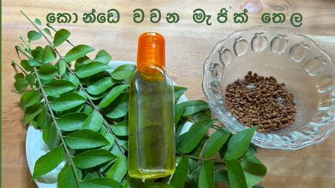 Homemade Curry Leaves Oil For Hair Growth ගෙදර හදපු මගේ මැජික් තෙල් එක Longhair Hairoil