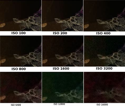 ¿cómo Usar El Iso Correctamente En Tus Fotografías Blog Del Fotógrafo