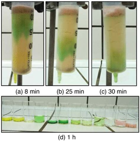 Spinach Leaves Chromatography