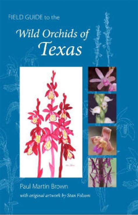 Field Guide To The Wild Orchids Of Texas Nhbs Field Guides Natural