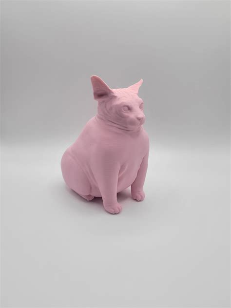 Fat Hairless Cat