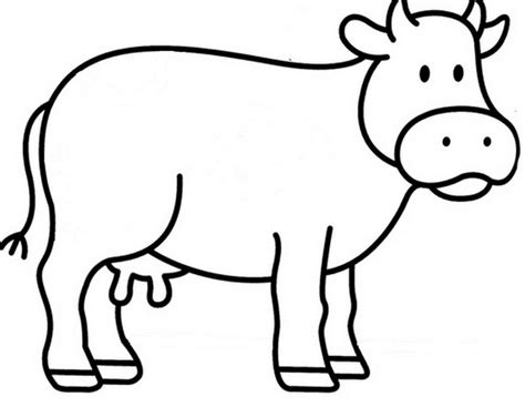 Krowa Do Druku Kolorowanki Coloring Pages Printable Cow Choose Board