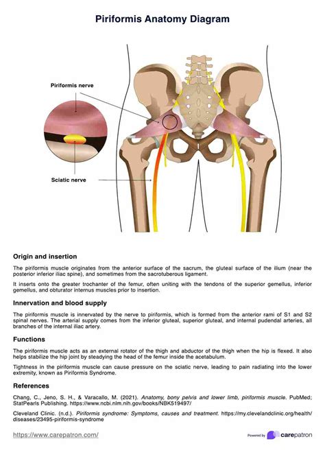 Body Assessment Form And Example Free Pdf Download