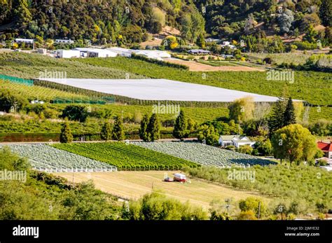 Fruit Growing Farms In The Motueka Valley On The Edge Of The Abel