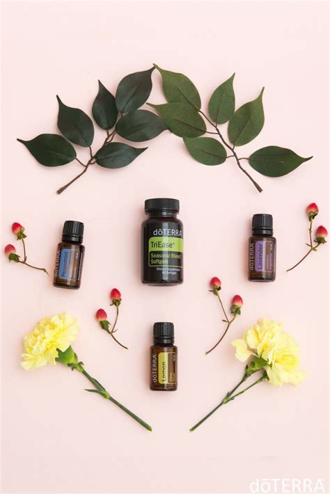 Diy Essential Oils Essential Oils For Sleep Essential Oils For