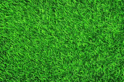 Green Lawn Grass Wallpaper In 5k Hd Quality