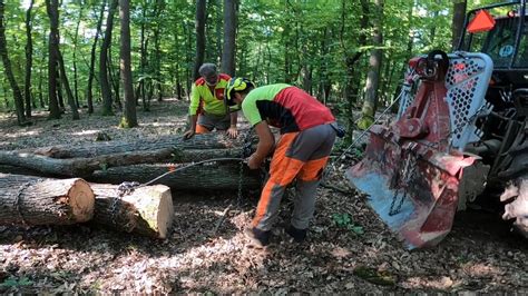 A Ba Dubov Pri T Tnej Hranici S Ma Arskom Stihl Amles Zetor