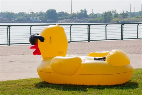 2019 Rubber Ducky Regatta Rubber Ducky Regatta