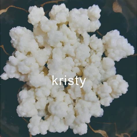 奶克菲爾milk Kefir 《花椰種》 Kristy舒活愉食｜克菲爾菌種｜優格菌種｜康普茶｜紅茶菌｜克菲爾奶｜酵素