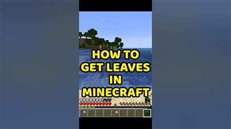 How to get Leaves in Minecraft 1.21 - YouTube