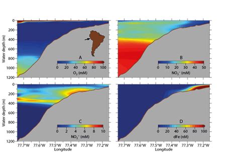 Distribution Of Oxygen And Nitro [image] Eurekalert Science News Releases