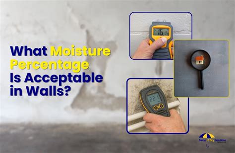 insulate  cold wall    blogs dampdry solutions