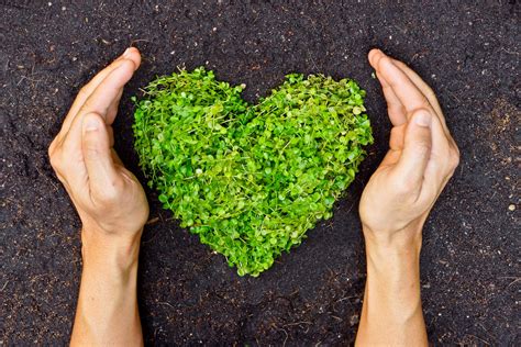 7 cosas que puedes hacer para ayudar al medio ambiente
