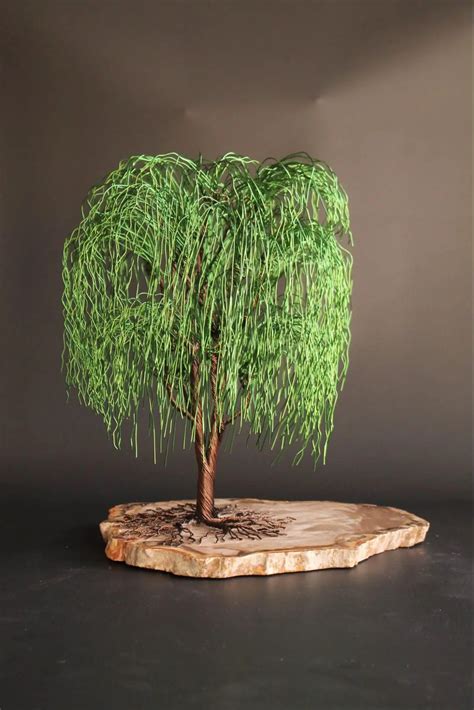 Weeping Willow Bonsai