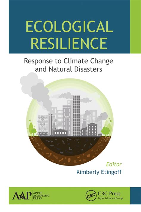 Pdf Towards Sustainable Cities Extending Resilience With Insights