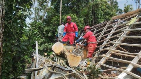 Hujan Lebat Dan Angin Kencang Sebabkan Puluhan Pohon Tumbang Dan