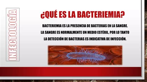 Bacterias En La Sangre Bacteriemia PPT