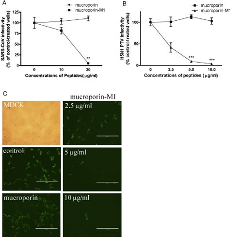 Virucidal Activity Of Mucroporin M1 Against Sars Cov A And Influenza Download Scientific