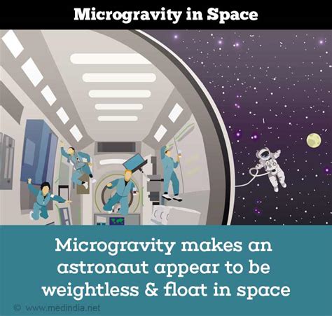 Heart And Vascular System Physiology In Space