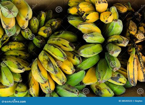 Saba Banana Stock Photos Image 38545523