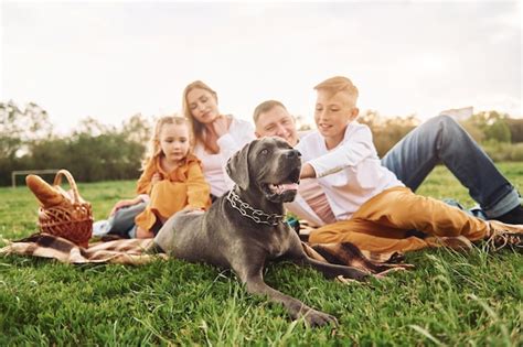 Acostado En El Suelo Con El Perro La Familia Pasa El Fin De Semana Al