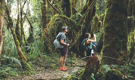 Day Hike Mount Kilimanjaro Via Marangu Route