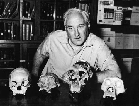 circa 1955: British anthropologist Dr Louis S B Leakey (1903 - 1972