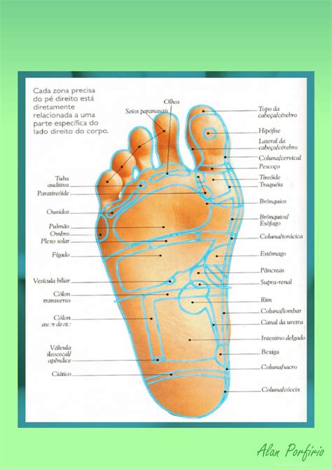 Mapa De Reflexologia Dos Pés Reflexologia Podal Mx