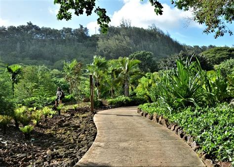 National Tropical Botanical Garden Poipu All You Need To Know