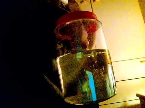 Kocalos Pissing In The Night 3 Gay Porn XHamster