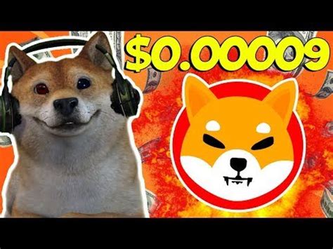 Shiba Inu Price Predictions How Much Will SHIB Be Worth In 2022 And